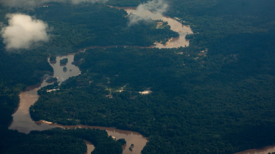 Top Venezuela, Guyana diplomats to discuss border dispute