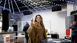 Dutch vote in election thriller