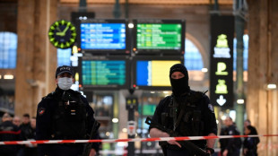 Agression de la gare du Nord: la garde à vue du suspect levée temporairement, un autre homme entendu