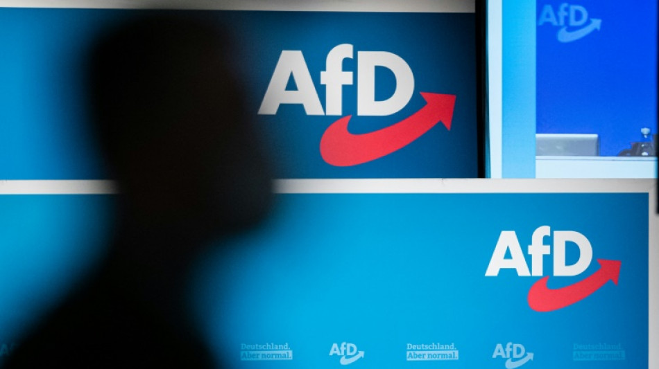 AfD beendet Bundesparteitag vorzeitig im Streit