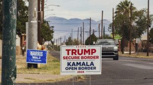 Los cinco temas cruciales de la campaña presidencial estadounidense