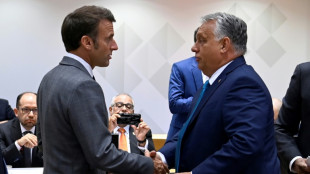 Macron hosts Hungary's Orban in bid to break Ukraine deadlock