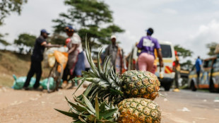 Del Monte guards in Kenya accused of beatings, rapes, killings