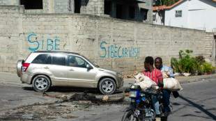 Haiti transitional council sworn in after months of violence