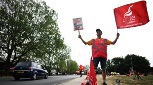 La grève au port de Felixstowe pourrait coûter cher au Royaume-Uni