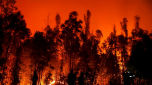 Chili: 24 morts dans des immenses feux de forêt, plus de 1.100 blessés