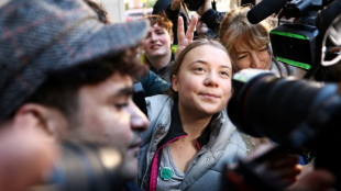 Greta Thunberg denies public order offence after London arrest