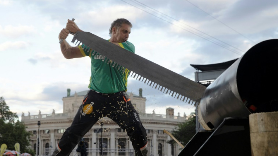 Au pied de la mairie de Vienne, les bûcherons font leur show