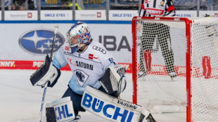 Eishockey: Zehn Abgänge beim ERC Ingolstadt