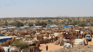 In Chad camps, survivors recount Sudan war horrors