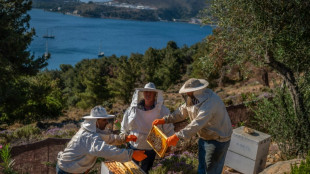 "Soulagement de l'âme": sur l'île de Leros, soigner avec les abeilles