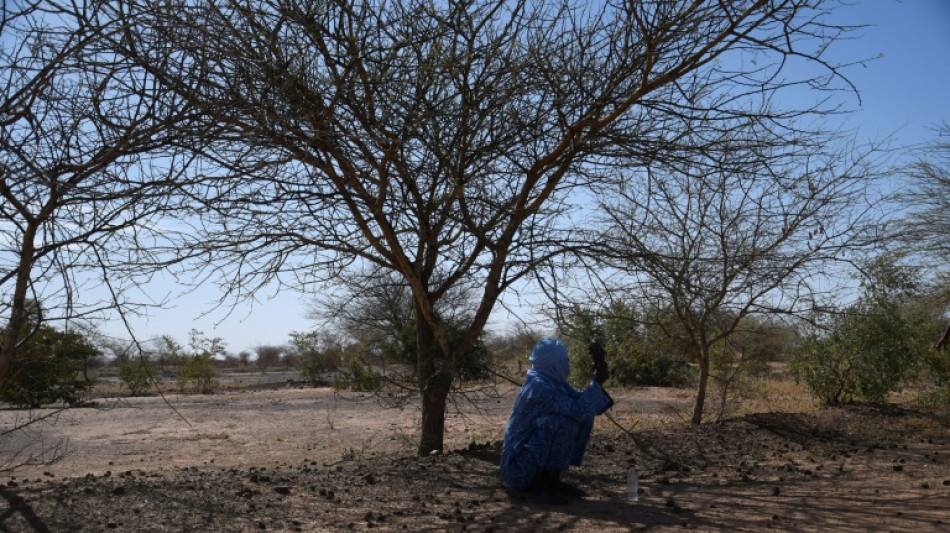 Début de la COP15 contre la désertification à Abidjan, face à "l'urgence" 