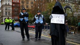 UN expert slams Britain's 'severe crackdown' on climate activists