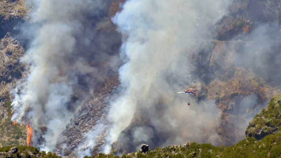 Portugal bittet EU wegen schweren Waldbrands auf Urlaubsinsel Madeira um Hilfe