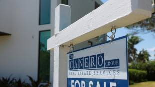 US home sales rise in February by most in a year