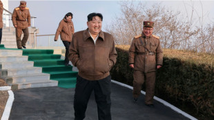 N. Korea's Kim oversees hypersonic missile engine test: state media