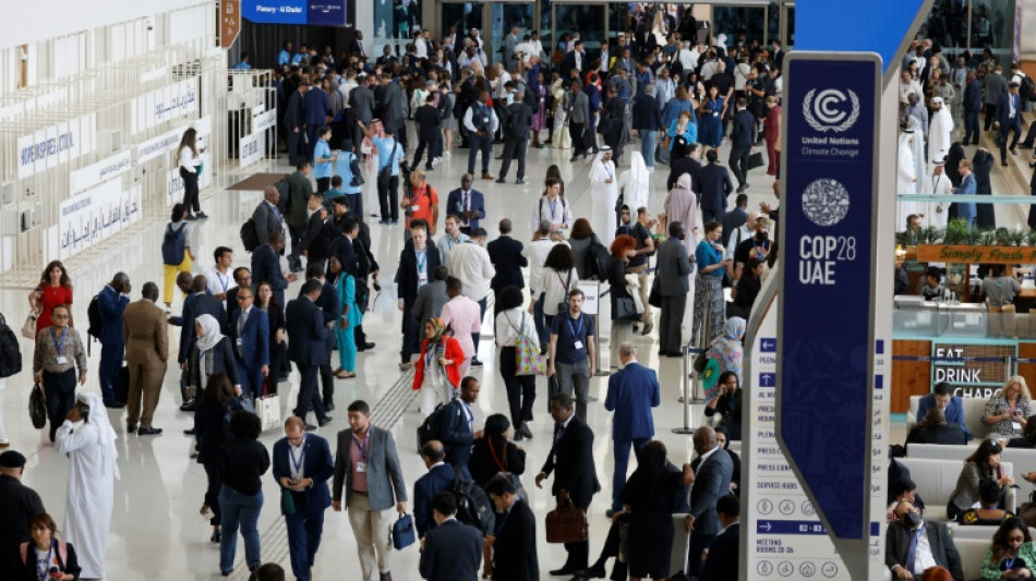 With 80,000 attendees, COP28 is largest UN climate summit ever