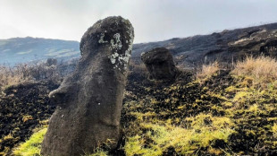 Incendio causa daño "irreparable" a estatuas moái de la chilena Isla de Pascua 