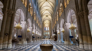 France shows off restored Notre Dame after 'impossible' restoration