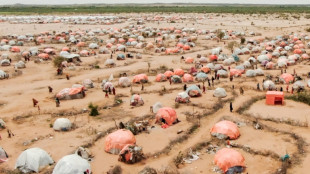 Over one million people displaced in four months in Somalia: UN