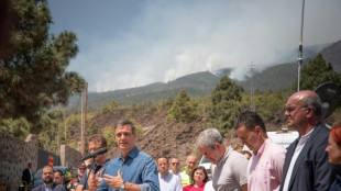 Autoridades espanholas esperam que incêndio em Tenerife se estabilize em poucos dias