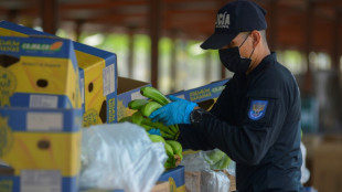 Rusia prohíbe la importación de bananas de Ecuador