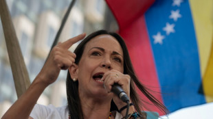 In Venezuela, fourth opposition campaign aide detained