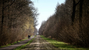 Paris-Roubaix: les organisateurs veulent sécuriser l'entrée de la trouée d'Arenberg