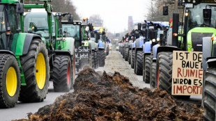 Germany drops planned subsidy cuts after farmers protest