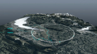 Plan for Europe's huge new particle collider takes shape