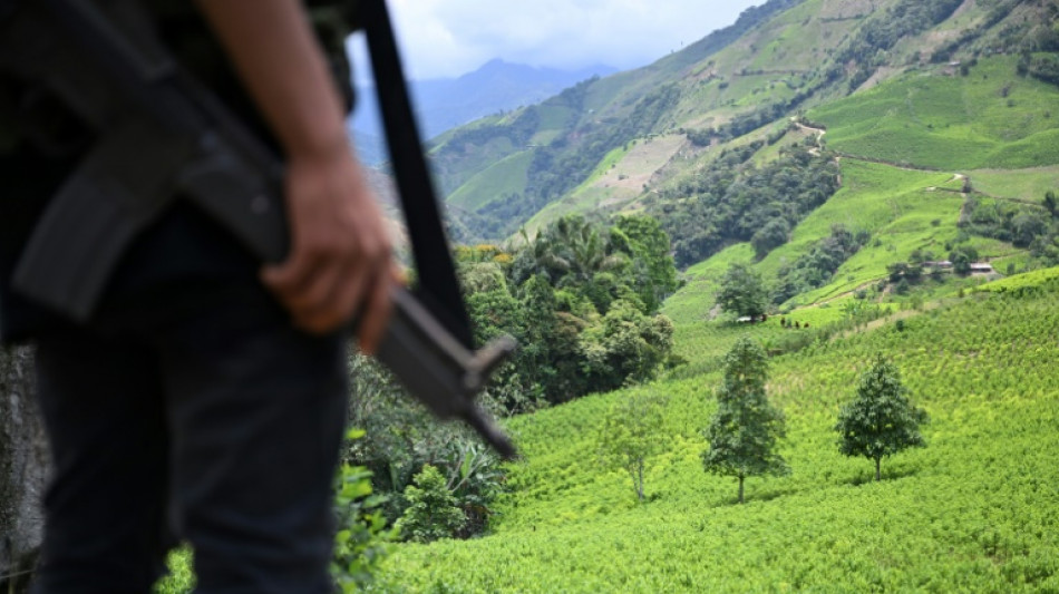 Colombia's cocaine canyon: the guerrilla turf impeding peace