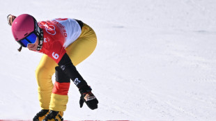 Snowboard: Hofmeister gewinnt in Blue Mountain