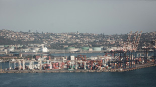 'Disastrous' gridlock hits S. Africa's busiest port