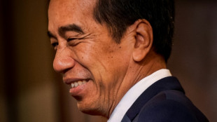 'Dynasty in the making' as Widodo's shadow hangs over Indonesia vote