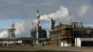 La chimie parie sur les chaudières biomasse pour se décarboner et se détacher du gaz