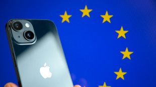 EU scores top court wins against Apple, Google