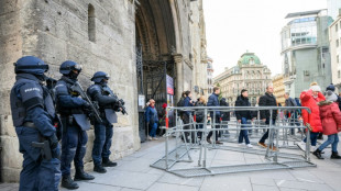 Austria detains suspected Islamists amid security fears