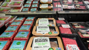 Markt für pflanzliche Fleisch- und Milchalternativen wächst weiter stark