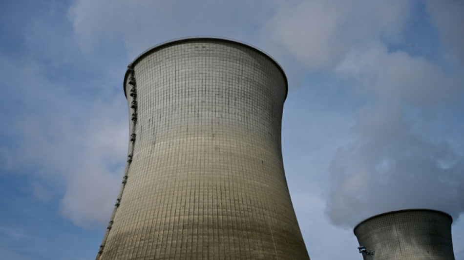 Pariser Atomkoalition: 15 Staaten beraten über weltweiten Ausbau von Kernkraft  