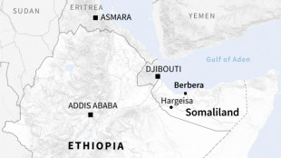 Somalia expels Ethiopia ambassador over 'interference'