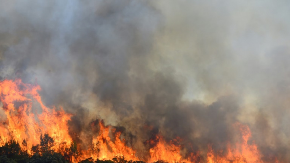 Incendie dans l'Hérault fixé, nouveaux feux en Ardèche dans une France toujours à sec