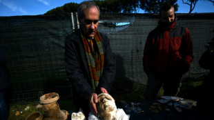 Rome's Appian Way eyes UNESCO status