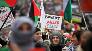 More than 20,000 attend pro-Palestinian rally in Brussels