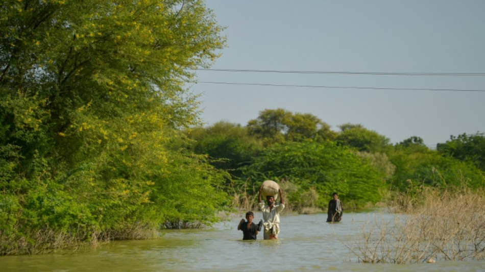 Malaria cases spike in Malawi, Pakistan after 'climate-driven' disasters