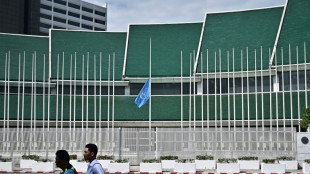 UN flags at half-mast for staff killed in Gaza