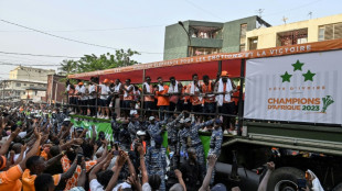 A Abidjan, parade triomphale pour les Eléphants champions d'Afrique