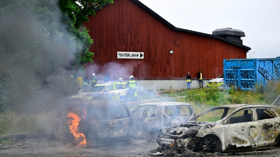 52 hurt, 100 detained in clashes at Eritrean Stockholm festival