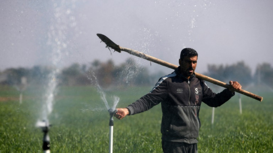 Sprinklers and drip irrigation help Iraqis beat drought
