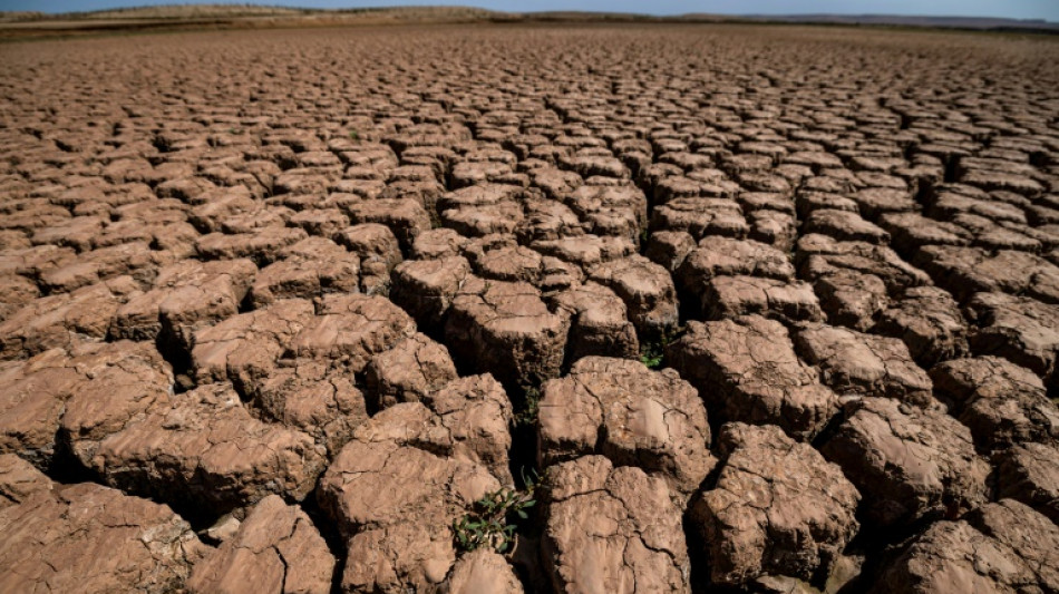 UN warns planet 'on the brink' after warmest decade on record