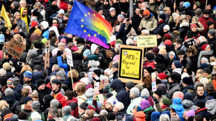 250,000 in German protests against far-right AfD